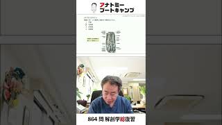 【 国試1分道場 ・循環器系】上大静脈に直接注ぐ静脈はどれか。 １．門脈 ２．奇静脈 ３．肝静脈 ４．肺静脈 かずひろ先生 解剖学 [upl. by Lleral]