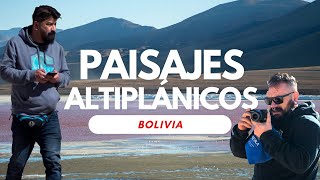 ¡Descubre los Secretos Ocultos del Desierto Boliviano 🌄 Flamencos Lagunas Rojas y Tesoros Andinos [upl. by Amarillas]