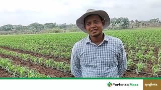 Testimoniales de Agricultores en Guatemala sobre FORTENZA MAXX [upl. by Leamiba]