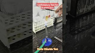 Confirmatory Test for Acetate ions  shorts experiment metal science india cbse [upl. by Akeemaj]