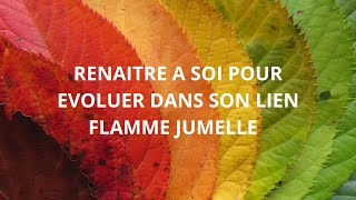 Flamme jumelle  Renaitre à Soi dans son lien  exercice de libération [upl. by Yelsnia]