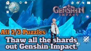 Thaw all the shards out Genshin Impact All 33 Puzzles [upl. by Hedve]