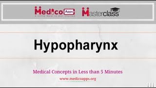 Live class Hypopharynx by Dr Suguna [upl. by Rosenkrantz782]