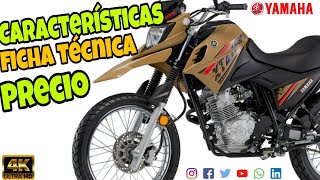 YAMAHA XTZ 150 ✅Ficha Técnica ✅Características ✅Precio ✔El Doc Motos✔ [upl. by Gabriellia]