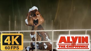 Alvin and the Chipmunks 2007  Alvin in the Dishwasher 4K60FPS [upl. by Fisken]