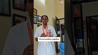 Asking questions to College Students random 👩‍⚕️ part 04  circumvallate papillae dentalstudents [upl. by Phaidra317]