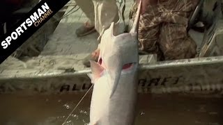 Dead Meat Paddlefish Asian Carp amp Snow Geese [upl. by Elagiba]