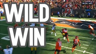 Steelers Vs Bengals Reaction [upl. by Patin]