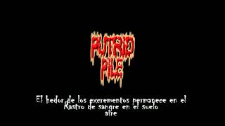 Putrid Pile Covered In Excrement subtitulado en español [upl. by Aimekahs]