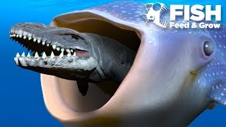 BIGGEST FISH EATS THE MOSASAUR  Fish Feed Grow [upl. by Radborne]