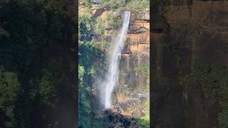 Fitzroy Fall  Australia  Morton National Park  2 Km bush walking near to Kangaroo Valley  Shorts [upl. by Leirej]