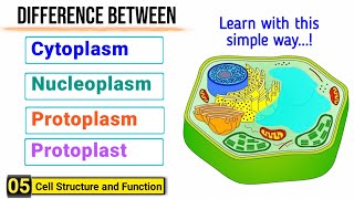 Difference among Cytoplasm Protoplasm Nucleoplasm and Protoplast  J Biology [upl. by Patnode]