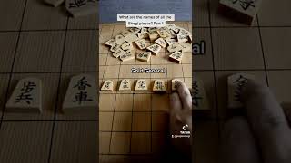 Learn the names of the Shogi pieces shogi japanesechess chess 将棋 japanese [upl. by Rochell]