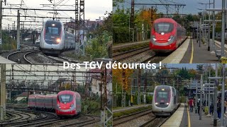 Montgeron  Crosne  TGV Intercités TER Transilien R et RER D [upl. by Dougherty376]