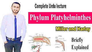 Phylum Platyhelminthes miller and Harley zoologyADSBSCBSUrdu Shahzad Rasool learning zoology [upl. by Azmah85]