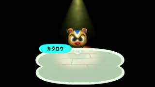 Doubutsu No Mori  Day 17  No CommentaryFreeToUse  どうぶつの森＋ Animal Crossing [upl. by Oyek895]