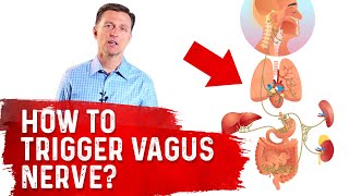 How To Trigger Vagus Nerve – Dr Berg [upl. by Sirromad]