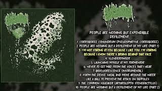 Phyllomedusa  People Are Nothing But Expendable Defilement FULL ALBUM 2023  GoregrindFrognoise [upl. by Saile155]