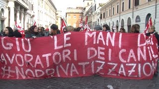 Canili comunali la protesta dei dipendenti a mezzanotte tutti disoccupati [upl. by Epifano]