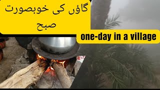 One day trip in a village  gayon ki subha kaise hoti hai SyedaRubabBukhari [upl. by Africah]