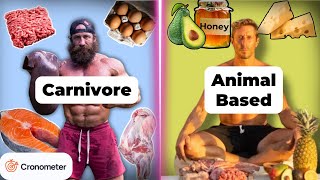 Carnivore vs Animal Based Nutrient Analysis [upl. by Nessim]