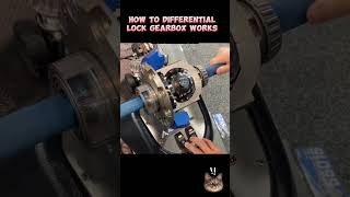 How Differential Lock Gearbox Works ⚙️👀cad machine engineering gear auto engine shorts fyp [upl. by Jeno170]