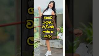 එයාලා❤️😍😘srilankantiktok vairalvideos tranding foryou 200k tiktok [upl. by Garvin]