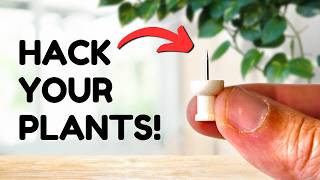 Top 10 Plant Hacks Everyone Should Know [upl. by Ewens]