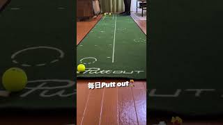 毎日Putt out putter puttout golf パットアウト [upl. by Anina]