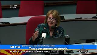 Rep Judy Schwiebert on SB1166 quotPronounquot bill [upl. by Nerek]