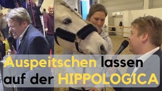 Auspeitschen lassen auf der HIPPOLOGICA 2019 [upl. by Anitneuq]