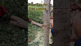 Rope saw Tree cutting Pruning Gardening Landscaping Outdoor toolBranch cutting Pruning Garden [upl. by Ielirol]