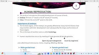 GENERAL EMBRYOLOGY Spermatogesis [upl. by Tnarb]