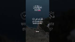 Surah Al Mulk ► Imam Faysal Verses 1720 shorts quran reels tilawat recitation alquran [upl. by Enelrad]