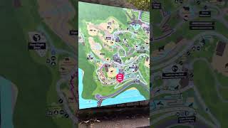 Need a map in Taronga Zoo [upl. by Spalla732]