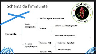 Immunité inné amp Immunité acquise [upl. by Enaira718]