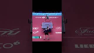 Truls Moregard DEADLY CHOPBLOCK FINISHER shorts tabletennis [upl. by Ettennad]