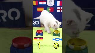 EURO 2024 Prediction with Mallow  Germany vs Scotland [upl. by Noerb]