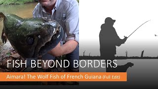 Wolf Fish Aimara Fishing in French Guiana Full Version [upl. by Fitzgerald832]