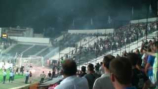 PAOK vs Rapid Wien  Fight before the game [upl. by Kalinda676]