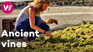 Greece  Viticulture methods inherited from antiquity  Worldwide Wine Civilizations [upl. by Baerman]