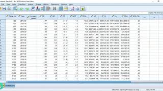 SPSS data import and mean analysis by group [upl. by Nnov959]