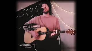 Beeswing Cover  Shane Dooley [upl. by Alliuqa]