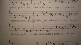 VEXILLA REGIS Inno Schola Gregoriana Mediolanensis Giovanni Vianini Milano Italia Gregoriano Ambrosiano studio e pratica in liturgia [upl. by Bluh]