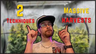 TWO TRAINING TECHNIQUES FOR MASSIVE HARVESTS [upl. by Emmett965]