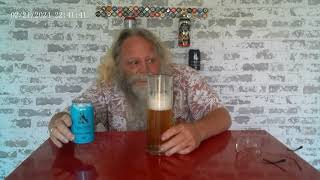 Einstök Brewery Lager Review and Taste Test [upl. by Naujed]