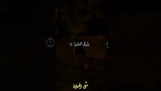 سورة القلم يوسفالصقير قرانكريم اياتقرانيهقصيره quran راحةنفسية [upl. by Assetnoc]