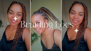 EASY SIMPLE WAY TO BRAID DREADLOCS  HOW TO BRAID BEGINNER LOCS  DIY locstyles locs braidlocs [upl. by Lleryt]