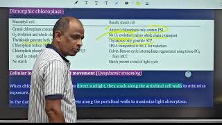 Chloroplast pigments Division amp Cytoplasmic streaming I क्लोरोप्लास्ट वर्णक विभाजन [upl. by Mandle]