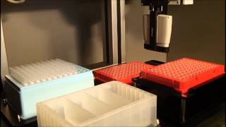 Magnetic Bead Prep 8x for DNA extraction High Throughput Lab Automation [upl. by Haorbed]